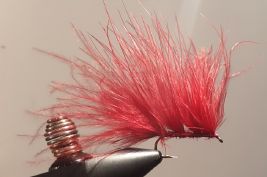 Marabou-Burgundy-Leech