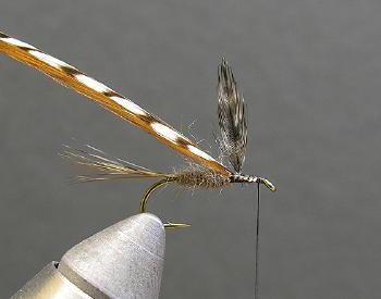 Adams Dry Fly - Spokane Fly Fishers