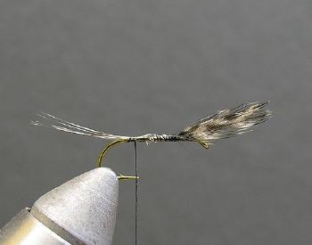 Adams Dry Fly - Spokane Fly Fishers