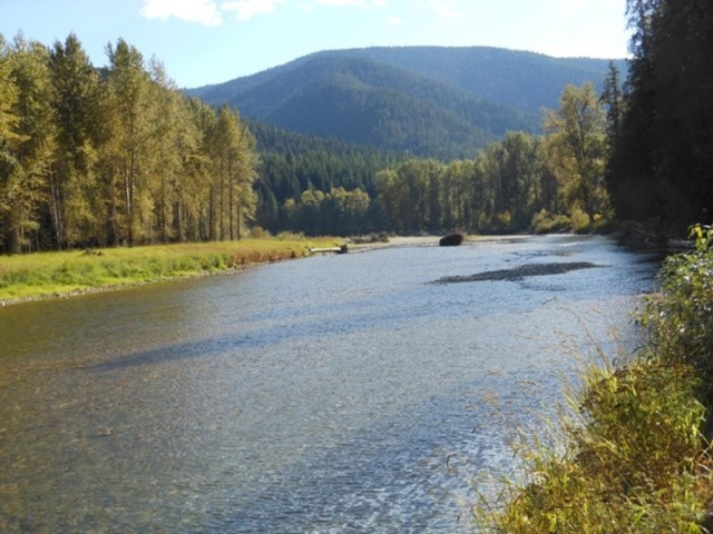 A photo of a river near CDA.