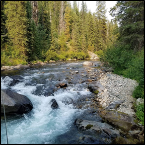 A photo of the St Joe River.