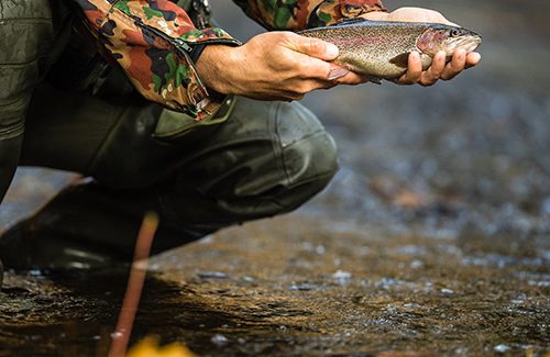 Spokane Fly Fishers Experience Fly Fishing In The Inland Northwest